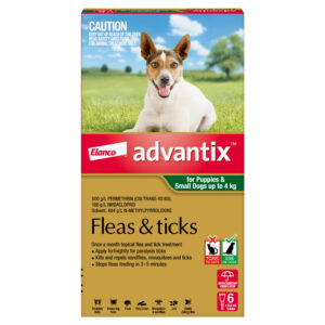 Advantix Green Spot-On for Puppies & Small Dogs - 6 Pack