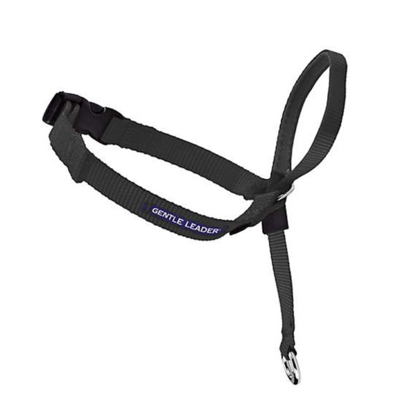 Gentle Leader Black Headcollar - Medium