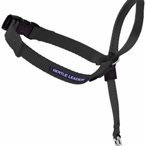 Gentle Leader Blue Headcollar - Medium