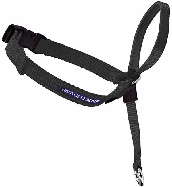 Gentle Leader Blue Headcollar - Medium