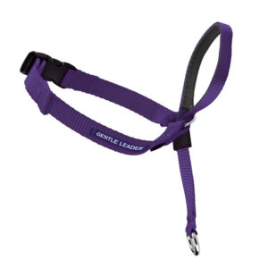 Gentle Leader Purple Headcollar - Large