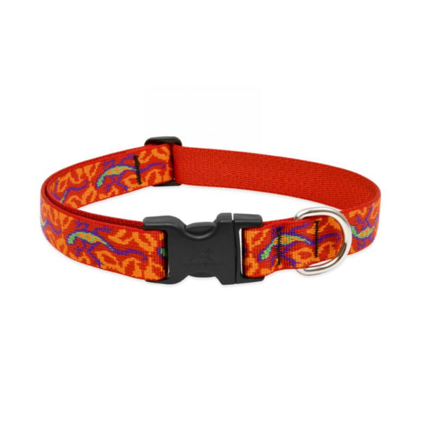 Lupine Go Go Gecko Large Dog Collar 12-20"