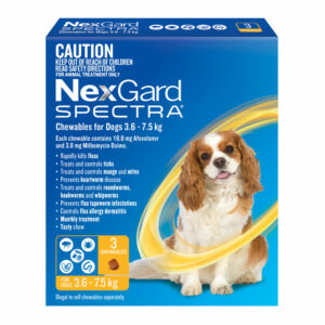 NexGard Spectra Yellow for Small Dogs (3.6-7.5kg) - 3 Pack