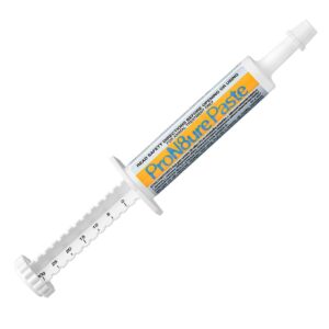 ProN8ure Multi-Strain Probiotic Paste Syringe 30g