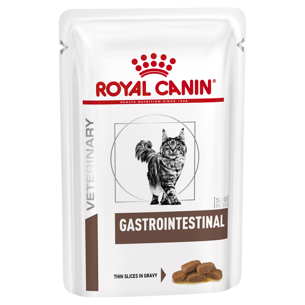 Gastrointestinal feline sale