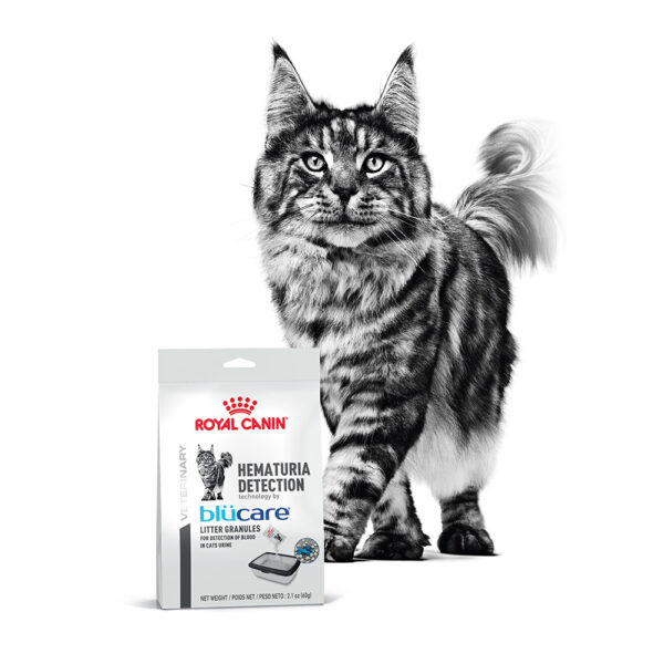 Royal Canin Feline Hematuria Detection 2 Pack